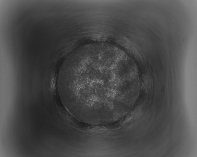 X0000100901154200807151112