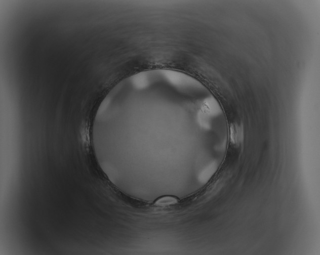 X0000100901155200807151112