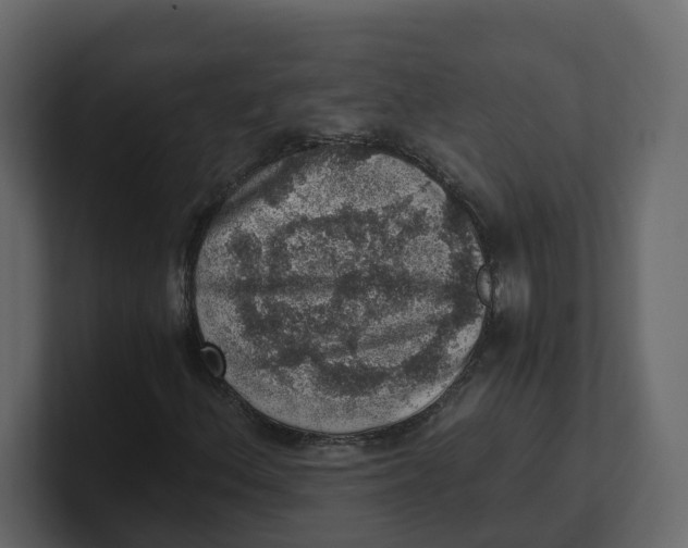 X0000100901156200807151112