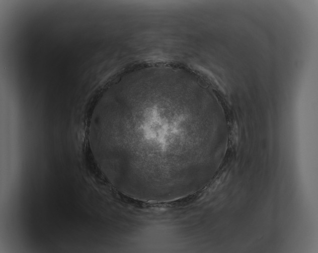 X0000100901157200807151112