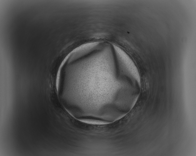 X0000100901158200807151112