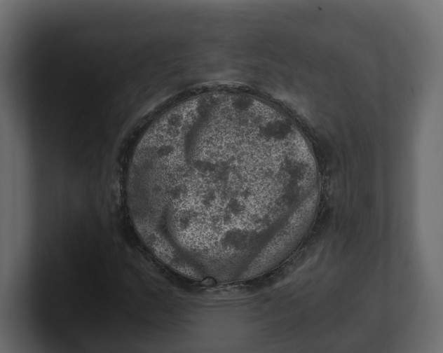 X0000100901159200807151112