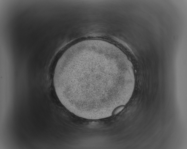 X0000100901160200807151112