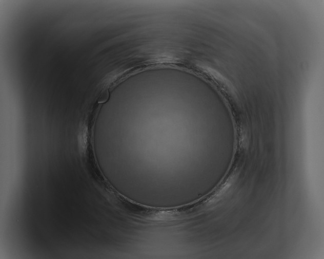 X0000100901161200807151112