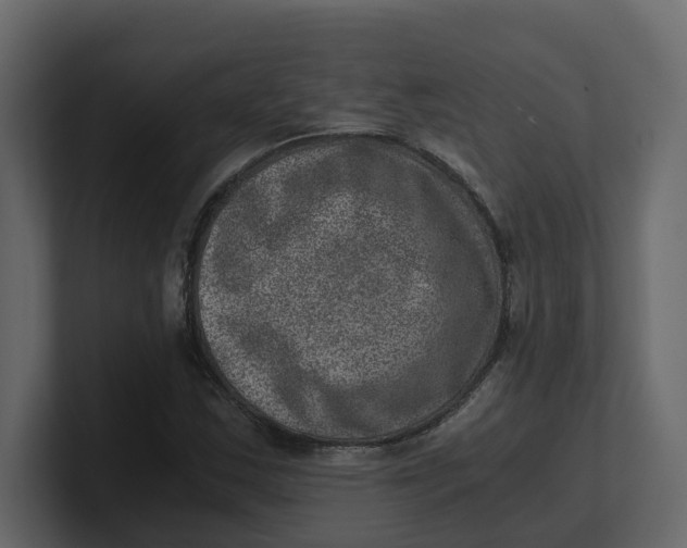 X0000100901163200807151112