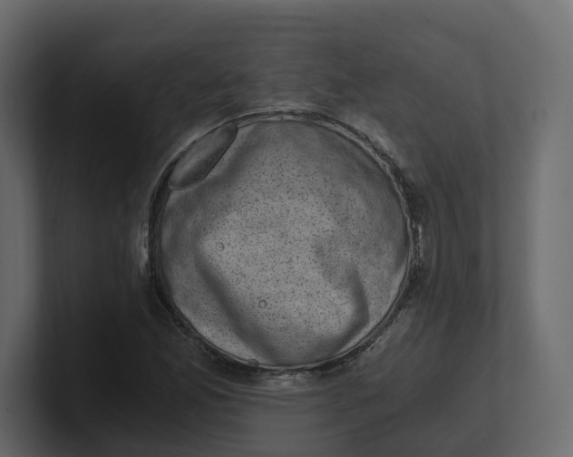 X0000100901165200807151112