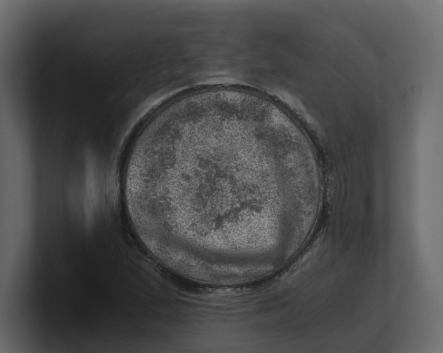 X0000100901167200807151112