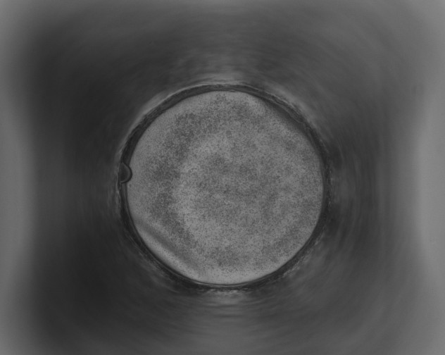 X0000100901168200807151112