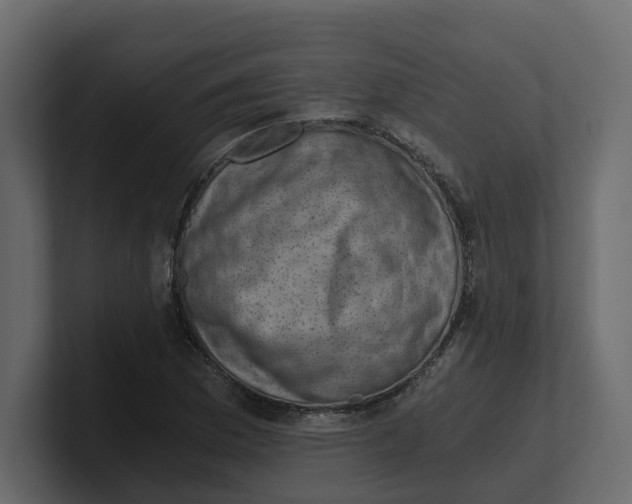 X0000100901169200807151112