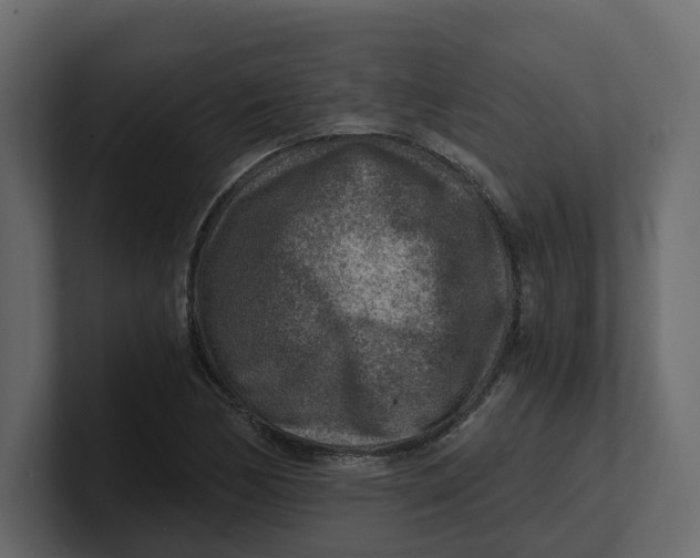 X0000100901170200807151112