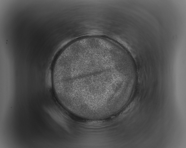 X0000100901171200807151112