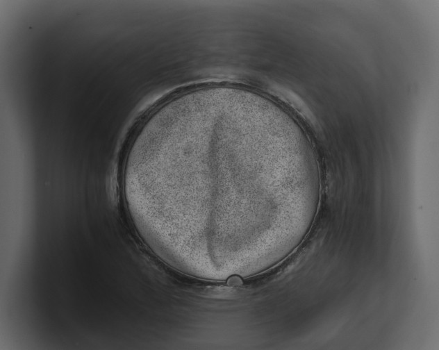 X0000100901172200807151112