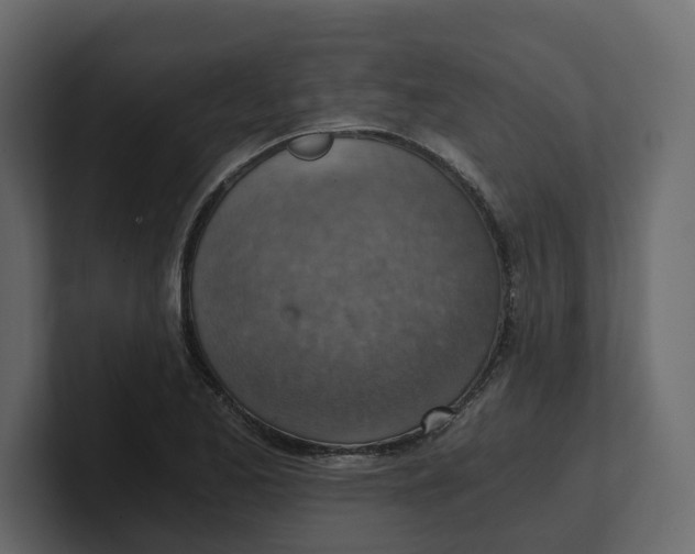 X0000100901173200807151112