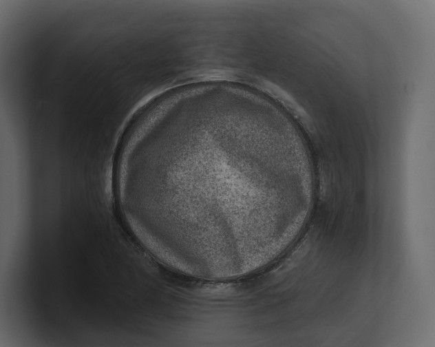 X0000100901174200807151112