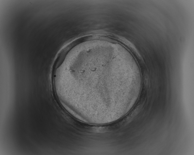 X0000100901176200807151112