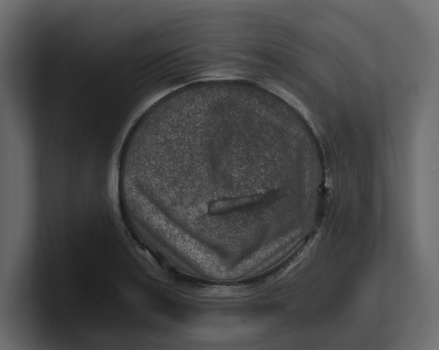 X0000100901179200807151112