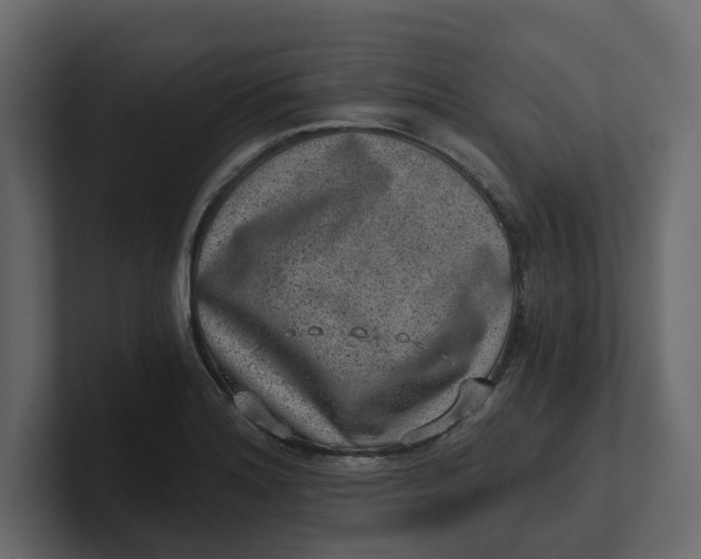 X0000100901180200807151112