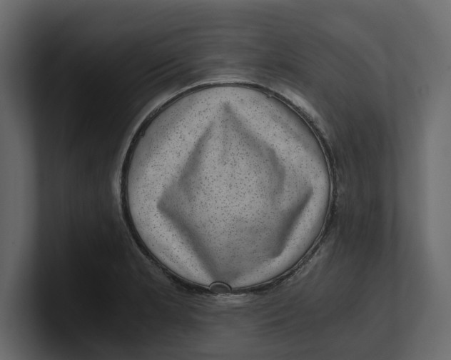 X0000100901181200807151112