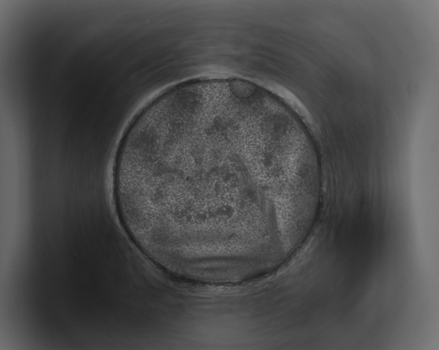 X0000100901183200807151112