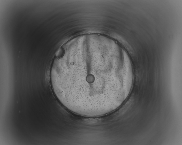 X0000100901185200807151112