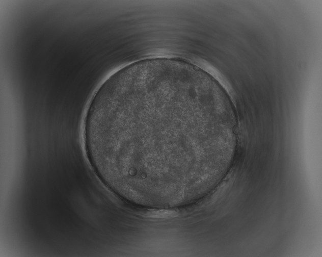 X0000100901187200807151112