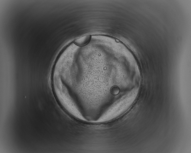 X0000100901189200807151112