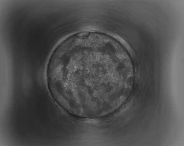 X0000100901191200807151112