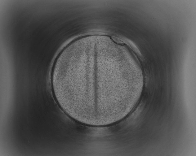 X0000100901192200807151112