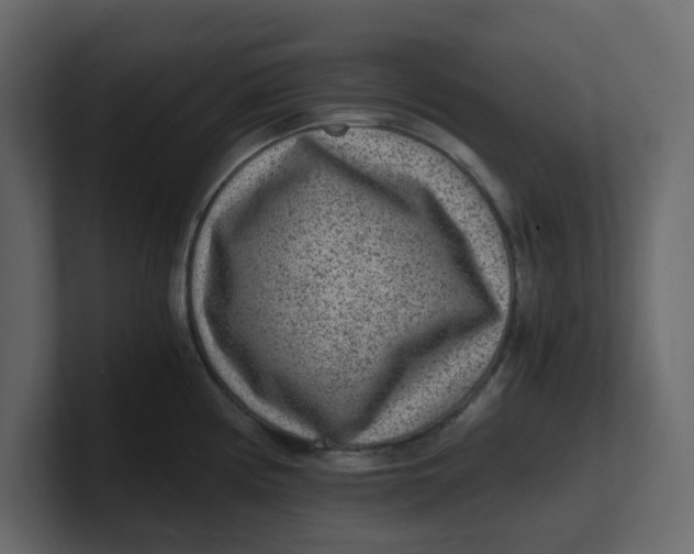 X0000100901194200807151111