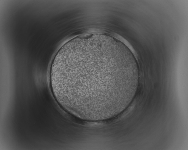 X0000100901195200807151111