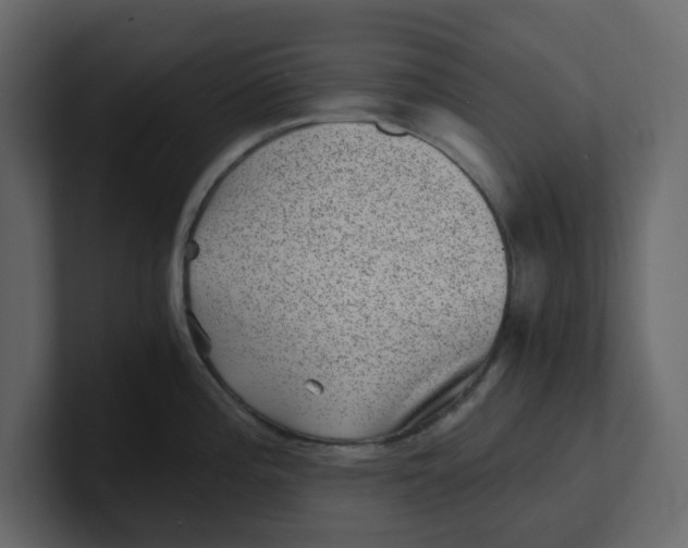 X0000100901196200807151111