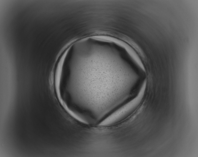 X0000100901198200807151111