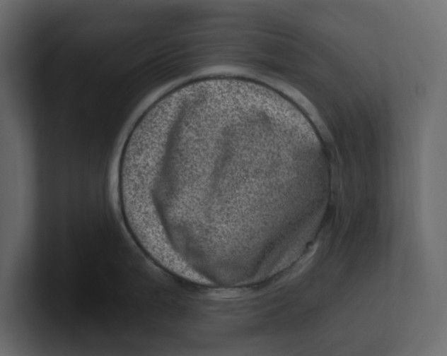 X0000100901199200807151111