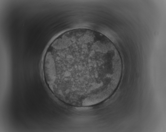 X0000100901200200807151111