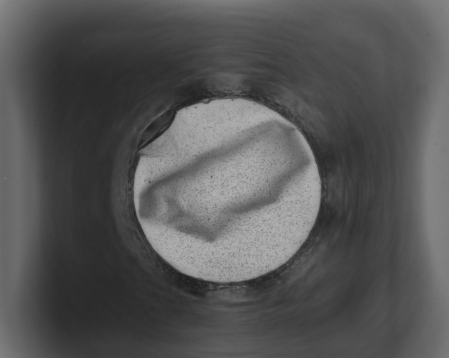 X0000100901201200807151111