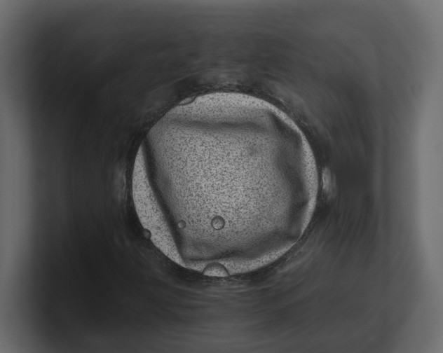 X0000100901203200807151111