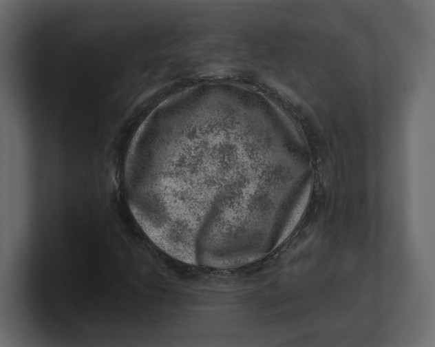 X0000100901206200807151111