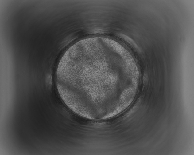 X0000100901209200807151111