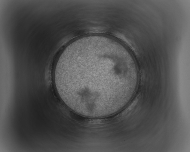 X0000100901211200807151111