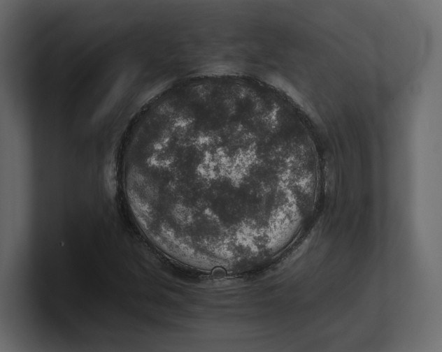 X0000100901213200807151111