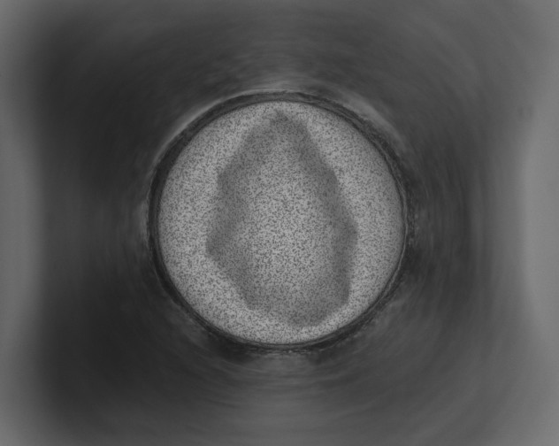 X0000100901216200807151111