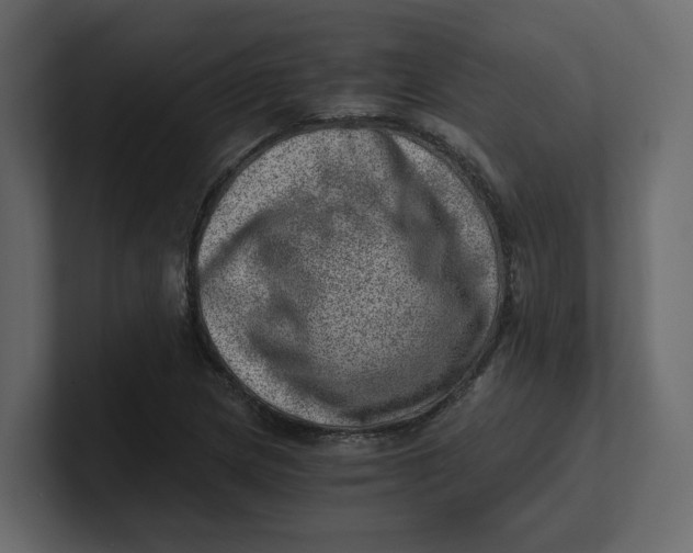 X0000100901217200807151111