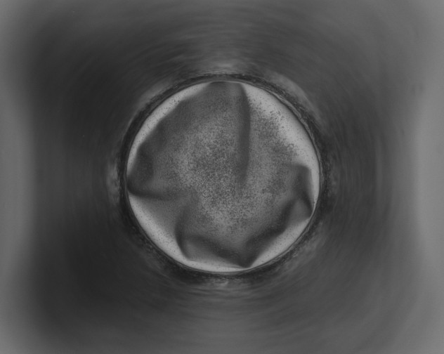 X0000100901218200807151111