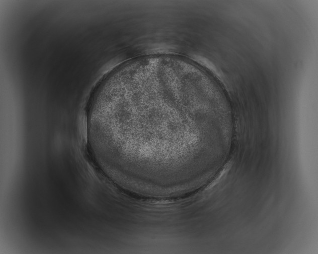 X0000100901219200807151111