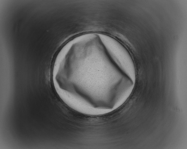 X0000100901220200807151111