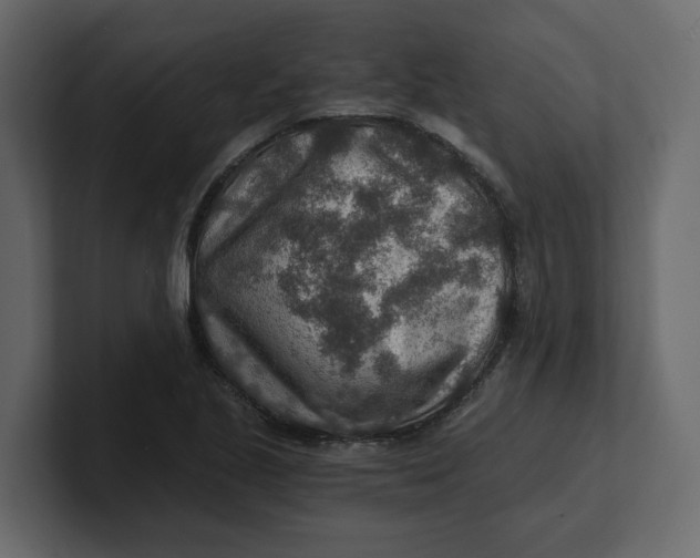 X0000100901221200807151111