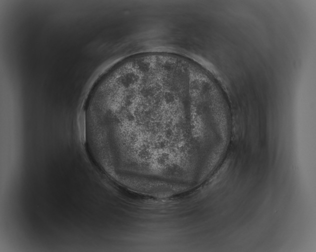 X0000100901223200807151111