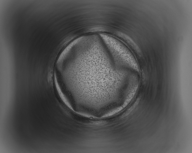 X0000100901225200807151111