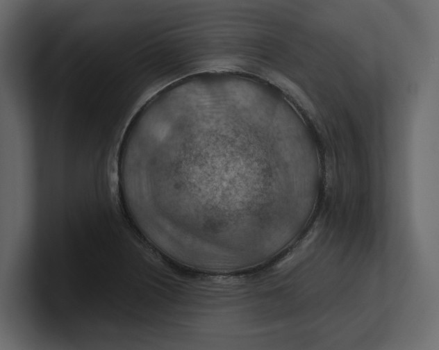 X0000100901226200807151111