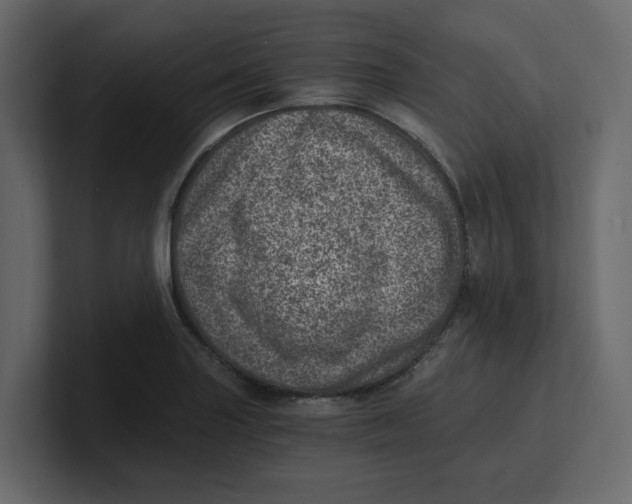 X0000100901227200807151111